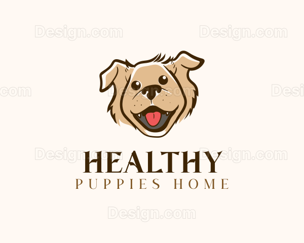 Healthy Puppies Home